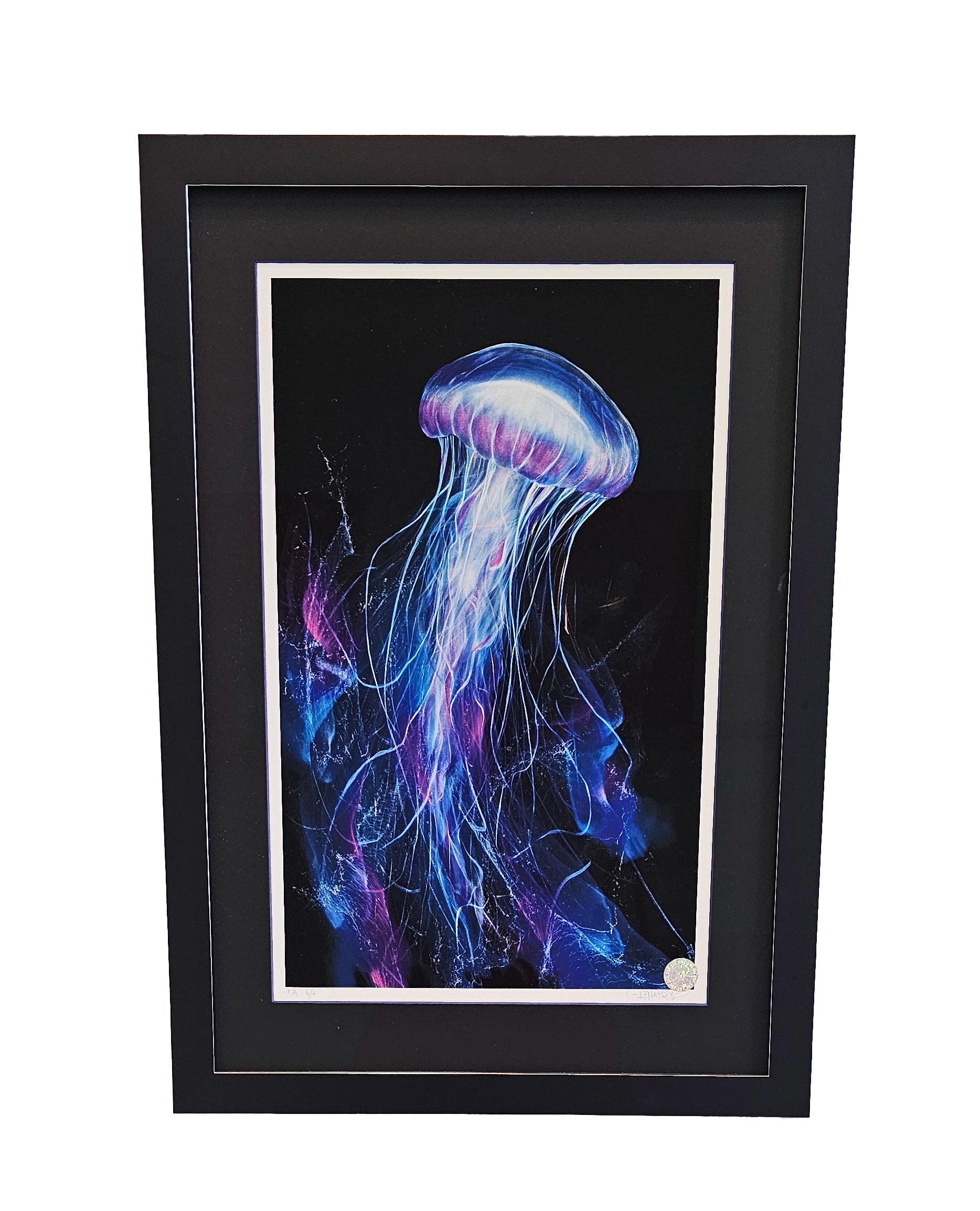 Cnidarians1 et kunsttrykk av L7Matrix