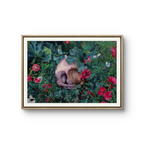 Kommer på kunstpapir og lerret. 