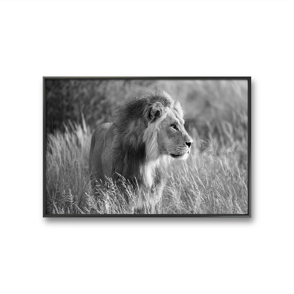 I galleri M35 kan du se flere fotografier av Daniel Bryn Larsen