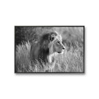 I galleri M35 kan du se flere fotografier av Daniel Bryn Larsen