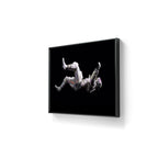 Trykket kommer på kunstpapir og hvitlakkert aluminium