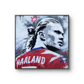 Kunstverket "Haaland" av den norske graffitikunstneren Salke1.
