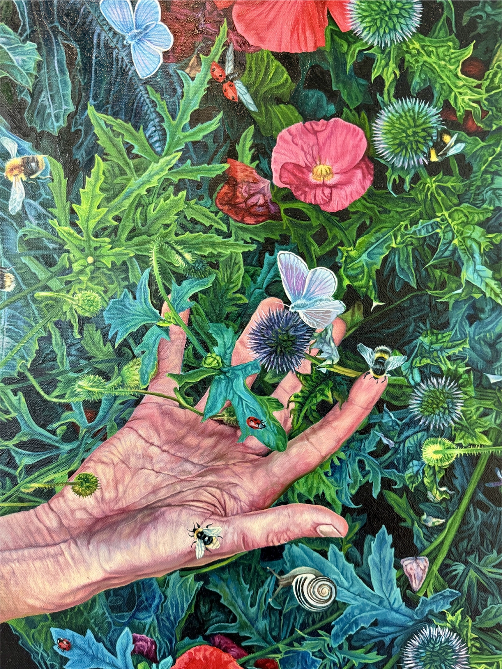 Kasia maler realistiske oljemalerier.