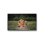 ust chillin´ er et fotografi av Daniel Bryn Larsen