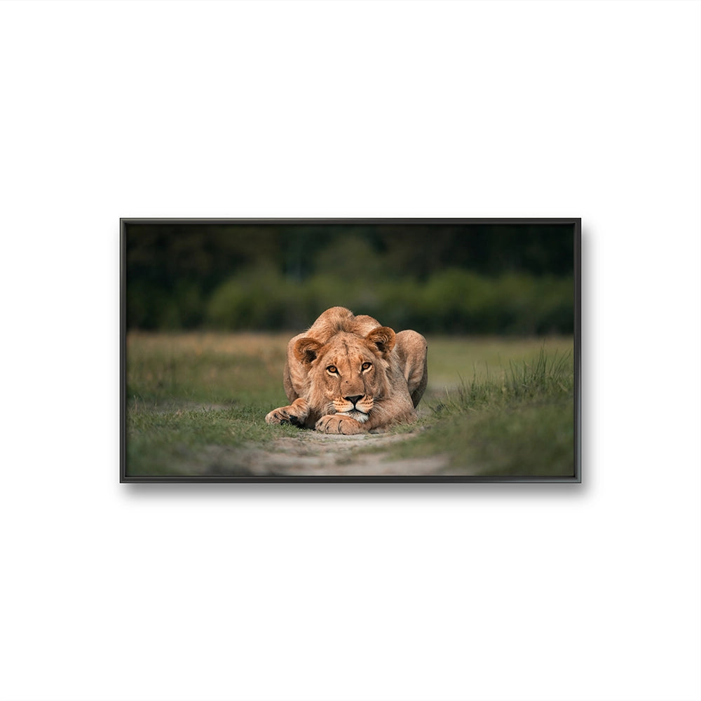 ust chillin´ er et fotografi av Daniel Bryn Larsen