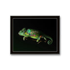 Kunstverket Kamelon er laget av Espen Dalen