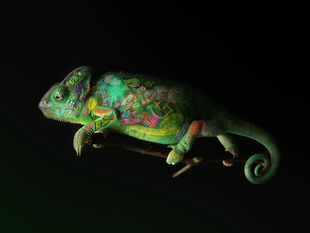 Vi er behjelpelig med innramming. Ta kontakt på post@m35.no