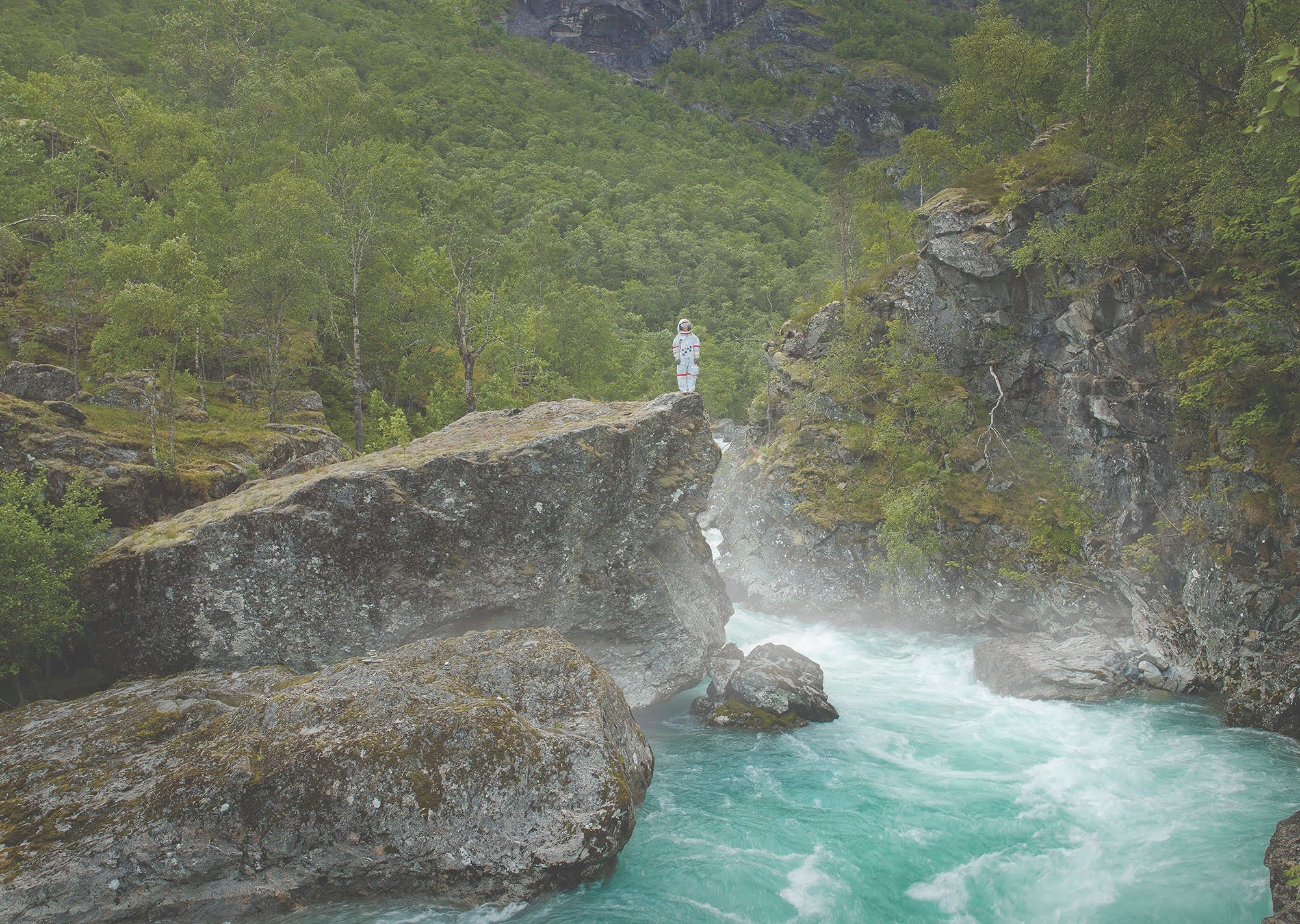 Detaljebilde av fine art fotokunsttrykket "Mørkridalen".