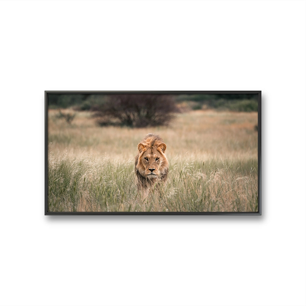 Prowler er et fine art fototrykk av Daniel Bryn Larsen