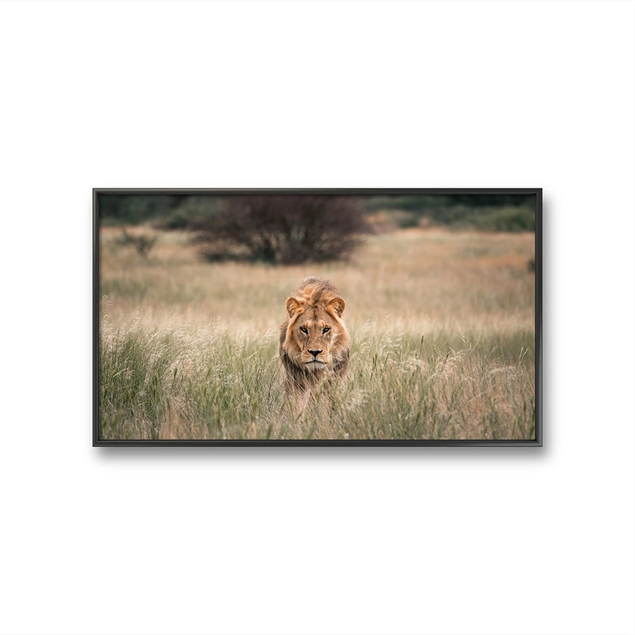 Prowler er et fine art fototrykk av Daniel Bryn Larsen