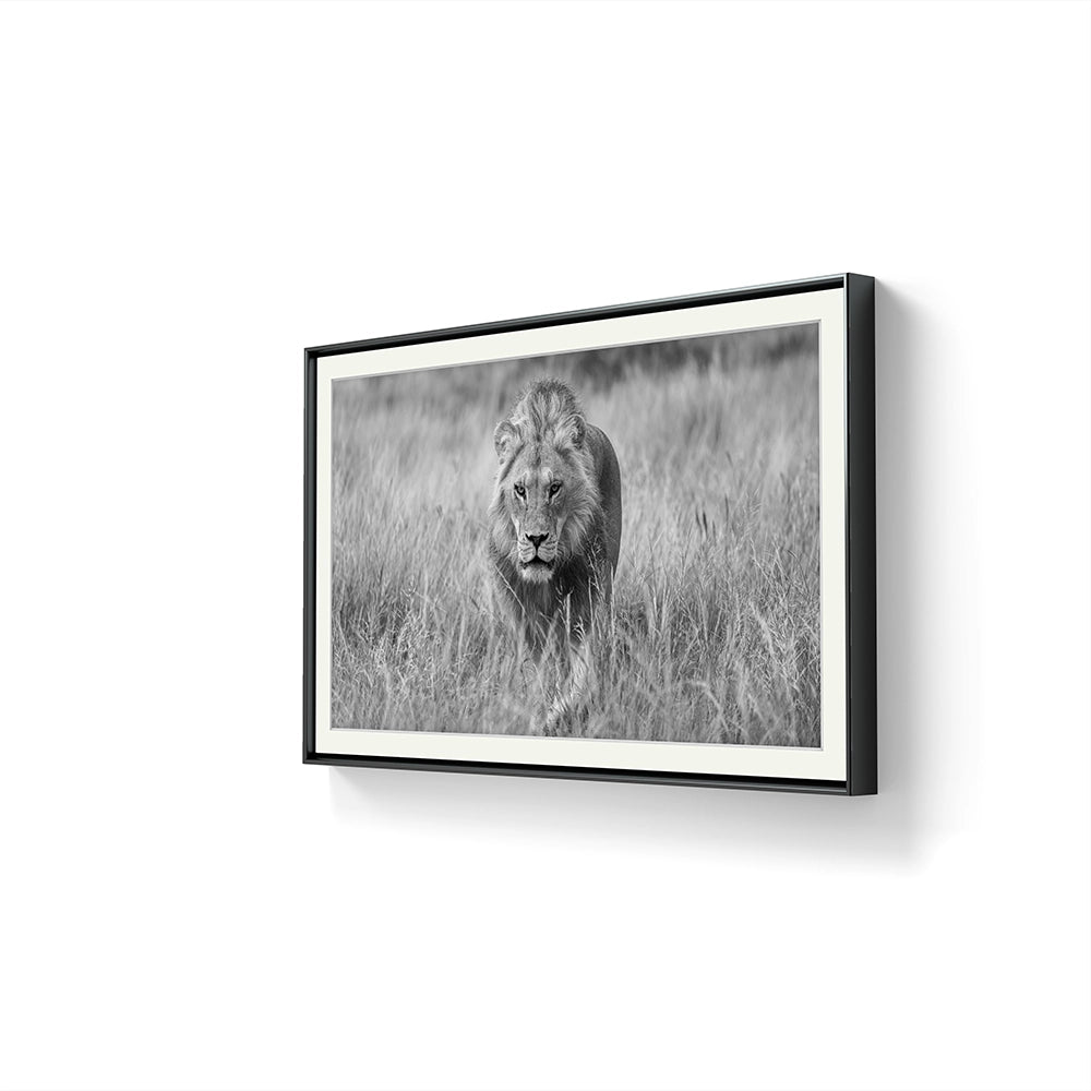 Regal Hunter black and white ferdig innrammet