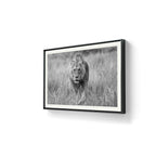 Regal Hunter black and white ferdig innrammet