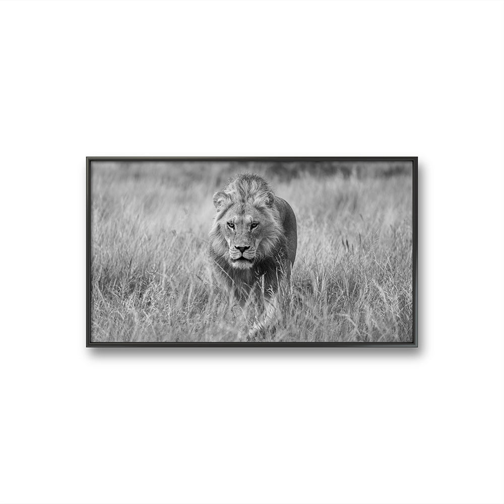 I galleri m35 på Tjuvholmen kan du se flere fotografier av Daniel Bryn Larsen