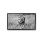 I galleri m35 på Tjuvholmen kan du se flere fotografier av Daniel Bryn Larsen