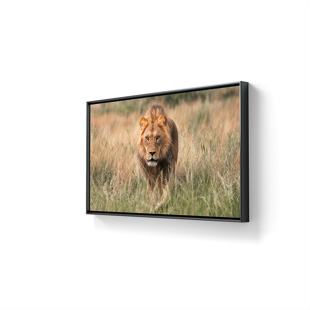 I galleri M35 kan du se flere fotografier av Daniel Bryn Larsen