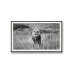 Staredown i black and white av Daniel Bryn Larsen