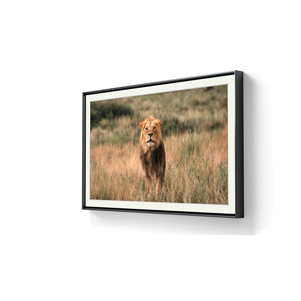 I galleri M35 kan du se flere fotografier av Daniel Bryn Larsen