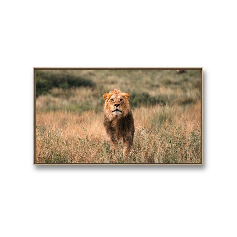 Se og opplev fotografiene i vårt galleri på Tjuvholmen.