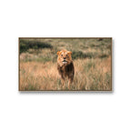 Se og opplev fotografiene i vårt galleri på Tjuvholmen.