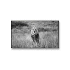 Fotografiet kommer i fire ulike størrelser