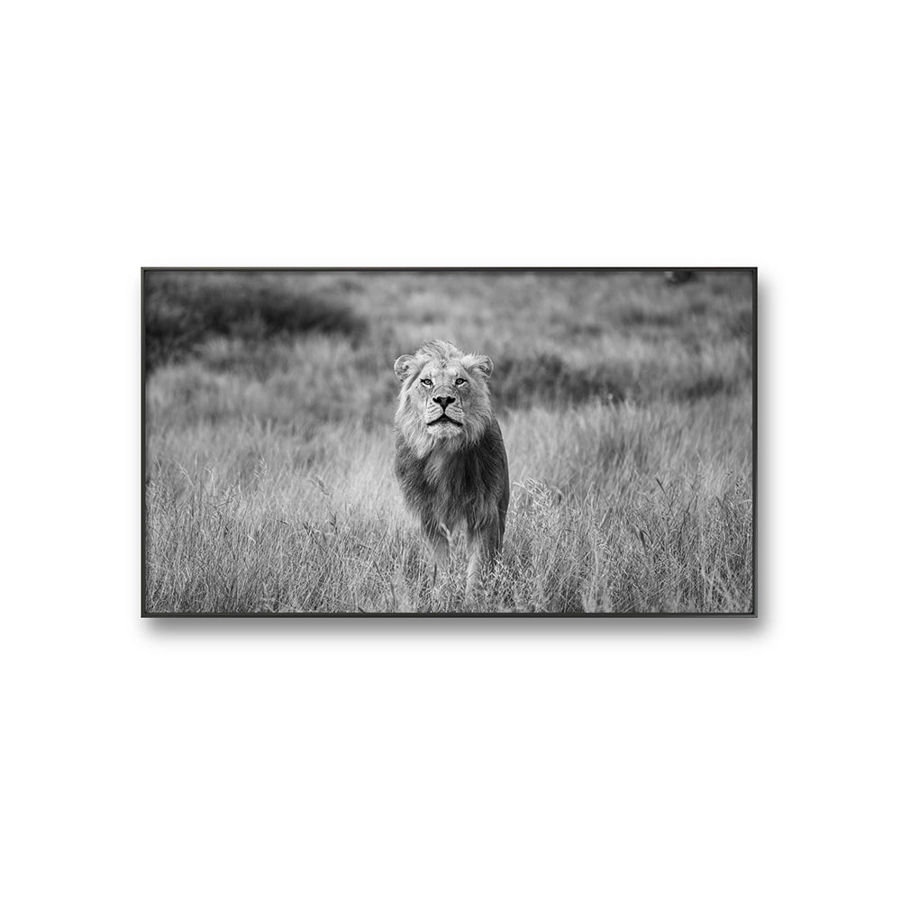 Fotografiet kommer i fire ulike størrelser