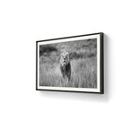 I galleri M35 kan du se flere fotografier av Daniel Berg Larsen