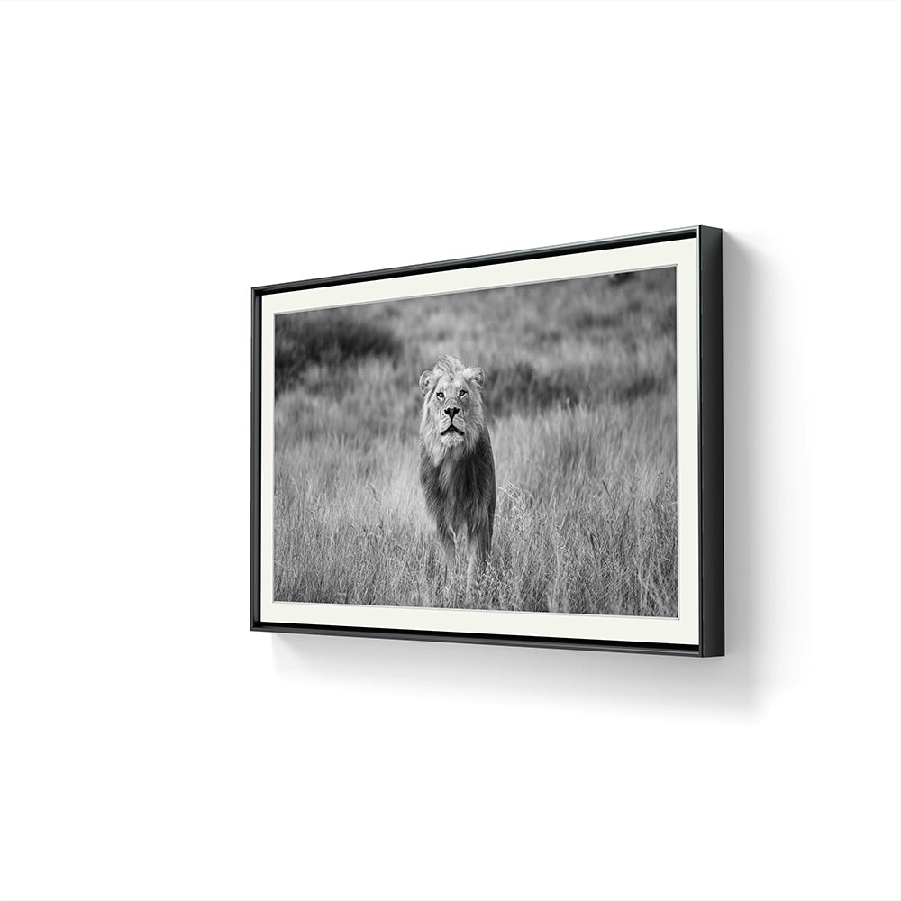 I galleri M35 kan du se flere fotografier av Daniel Berg Larsen