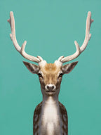 Symmetric Deer