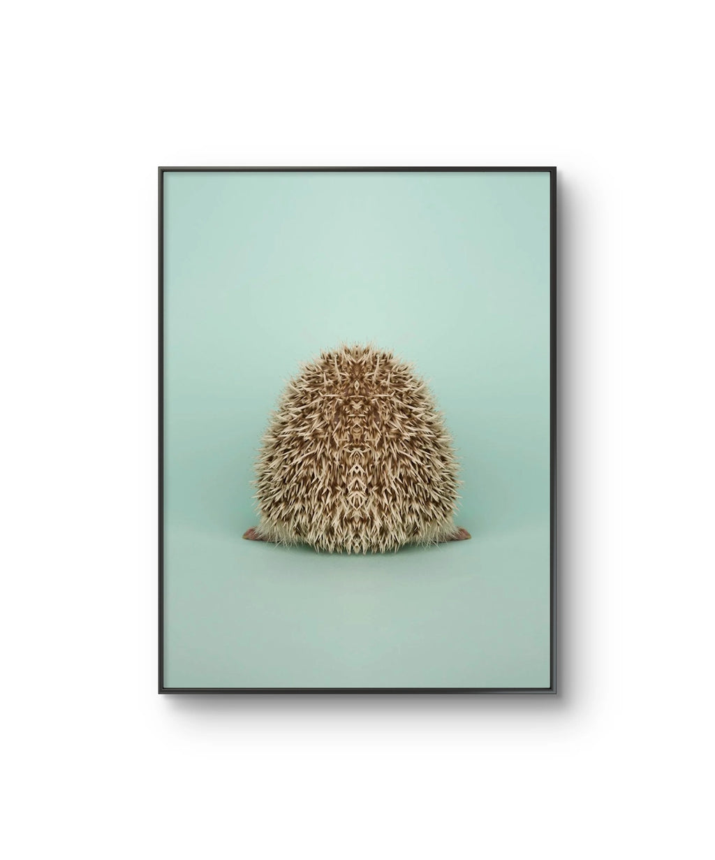 Fine art fotokunsttrykket "Symmetric Hedgehog II" av den norske fotografen Dag Knudsen, signert og nummerert i et begrenset opplag