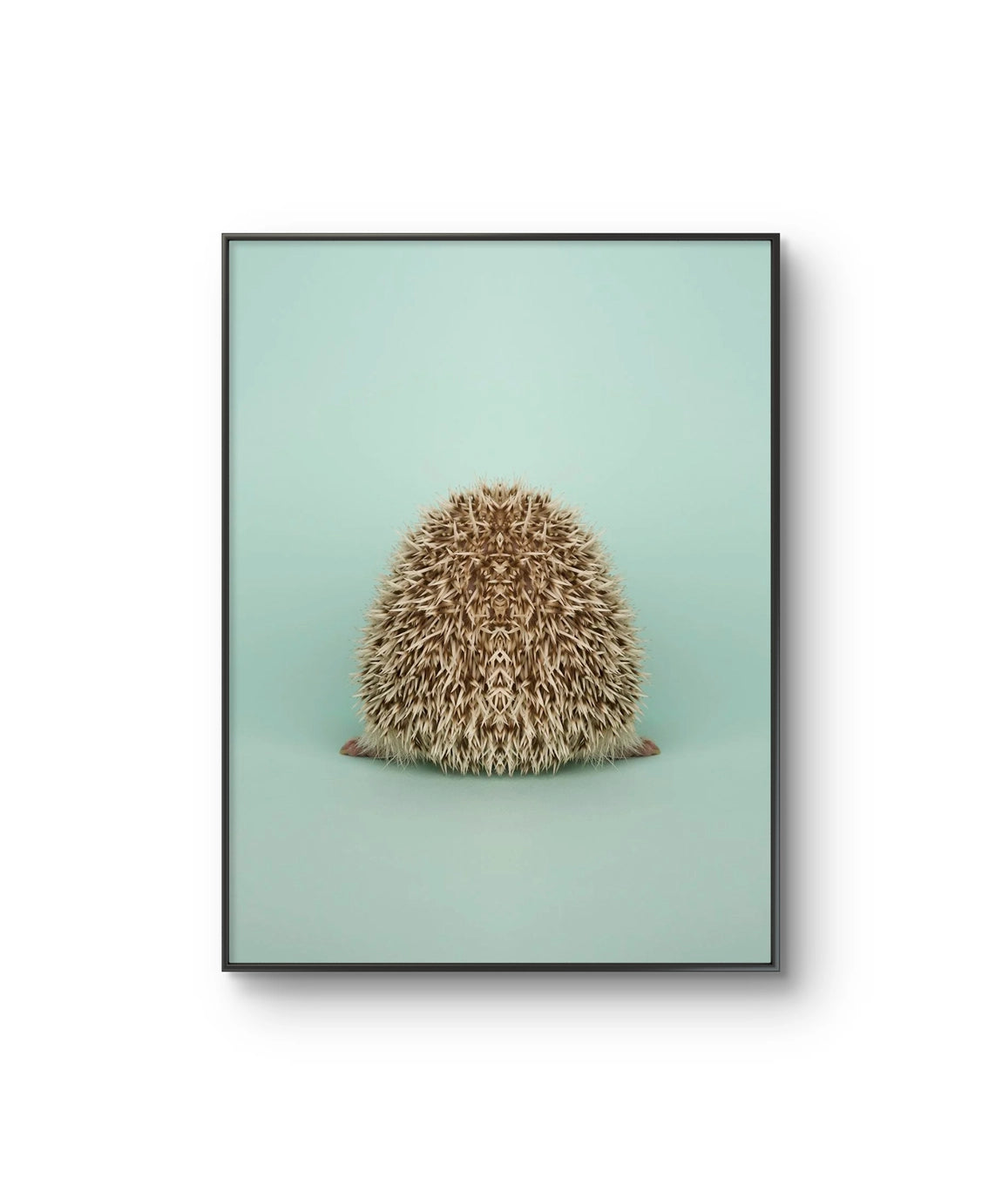 Fine art fotokunsttrykket "Symmetric Hedgehog II" av den norske fotografen Dag Knudsen, signert og nummerert i et begrenset opplag
