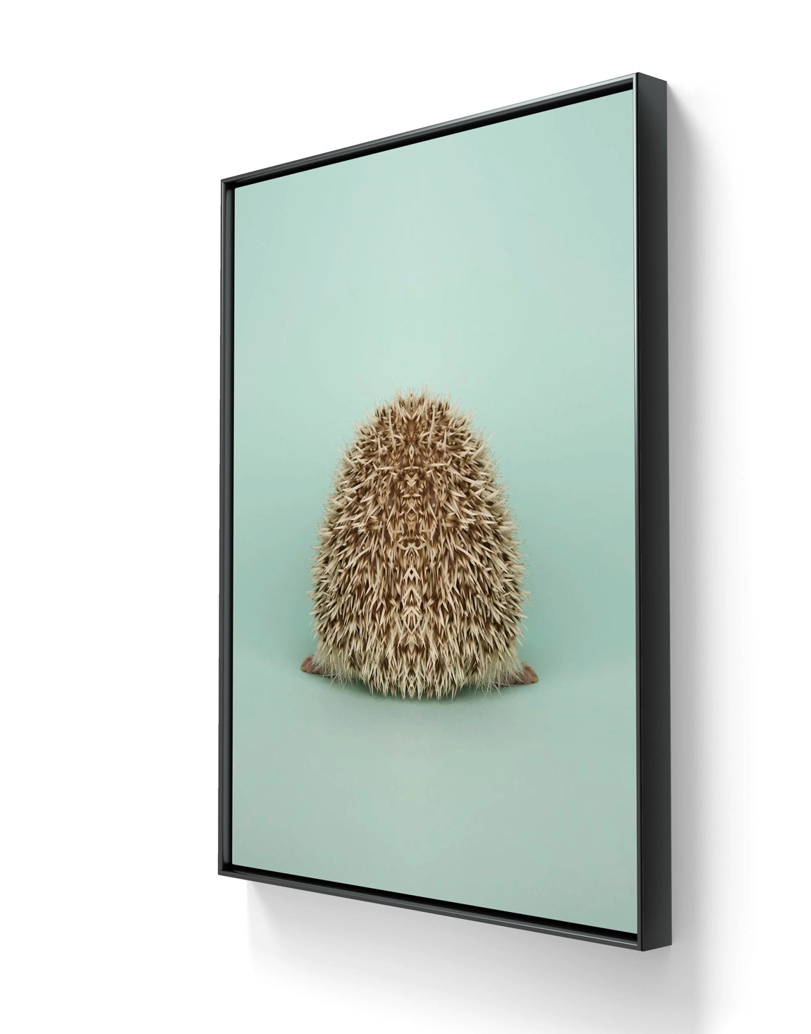 Fine art fotokunsttrykket "Symmetric Hedgehog II" leveres ferdig innrammet med en sort ramme i aluminium.