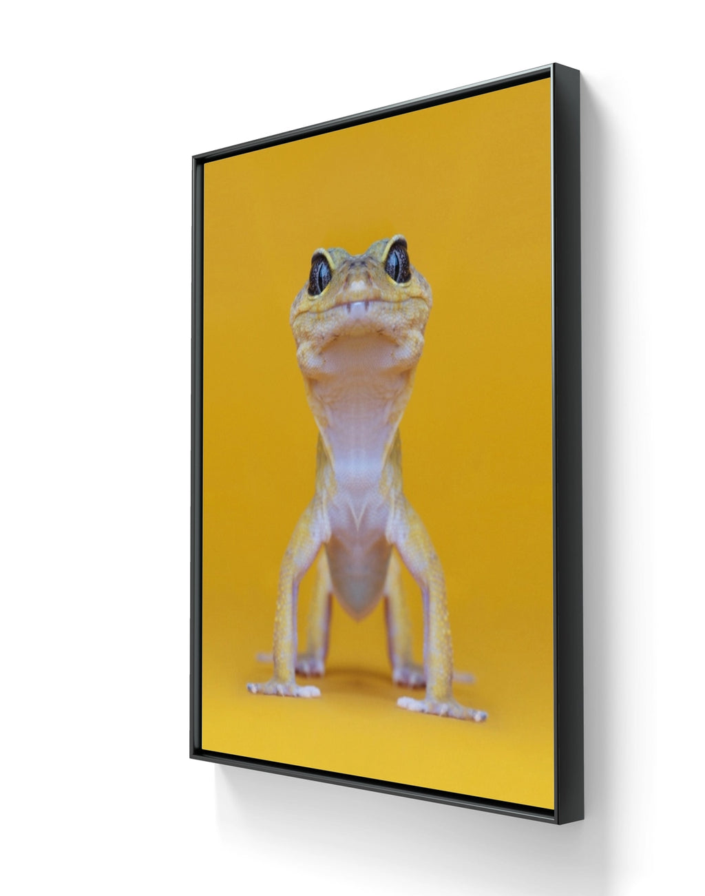 Fine art fotokunsttrykket "The Lizard King" leveres med en sort tynn aluminiumsramme.