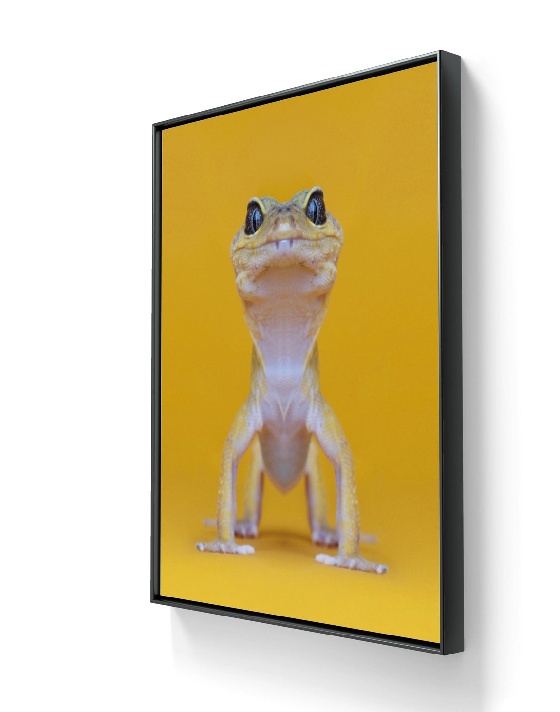 Fine art fotokunsttrykket "The Lizard King" leveres med en sort tynn aluminiumsramme.
