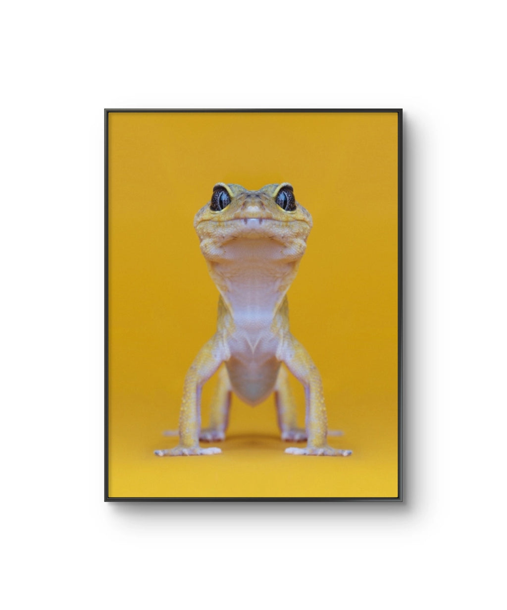 Fine art fotokunsttrykket "The Lizard King" av den norske fotografen Dag Knudsen, signert og nummerert i et begrenset opplag.