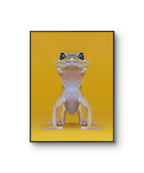 Fine art fotokunsttrykket "The Lizard King" av den norske fotografen Dag Knudsen, signert og nummerert i et begrenset opplag.