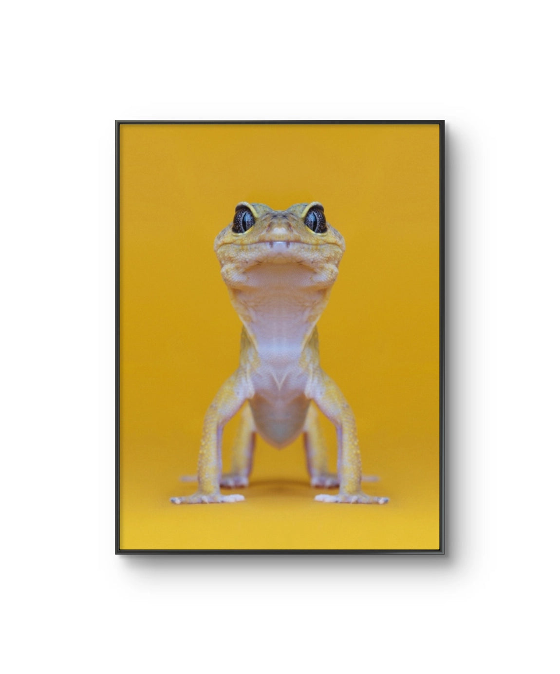 Fine art fotokunsttrykket "The Lizard King" av den norske fotografen Dag Knudsen, signert og nummerert i et begrenset opplag.