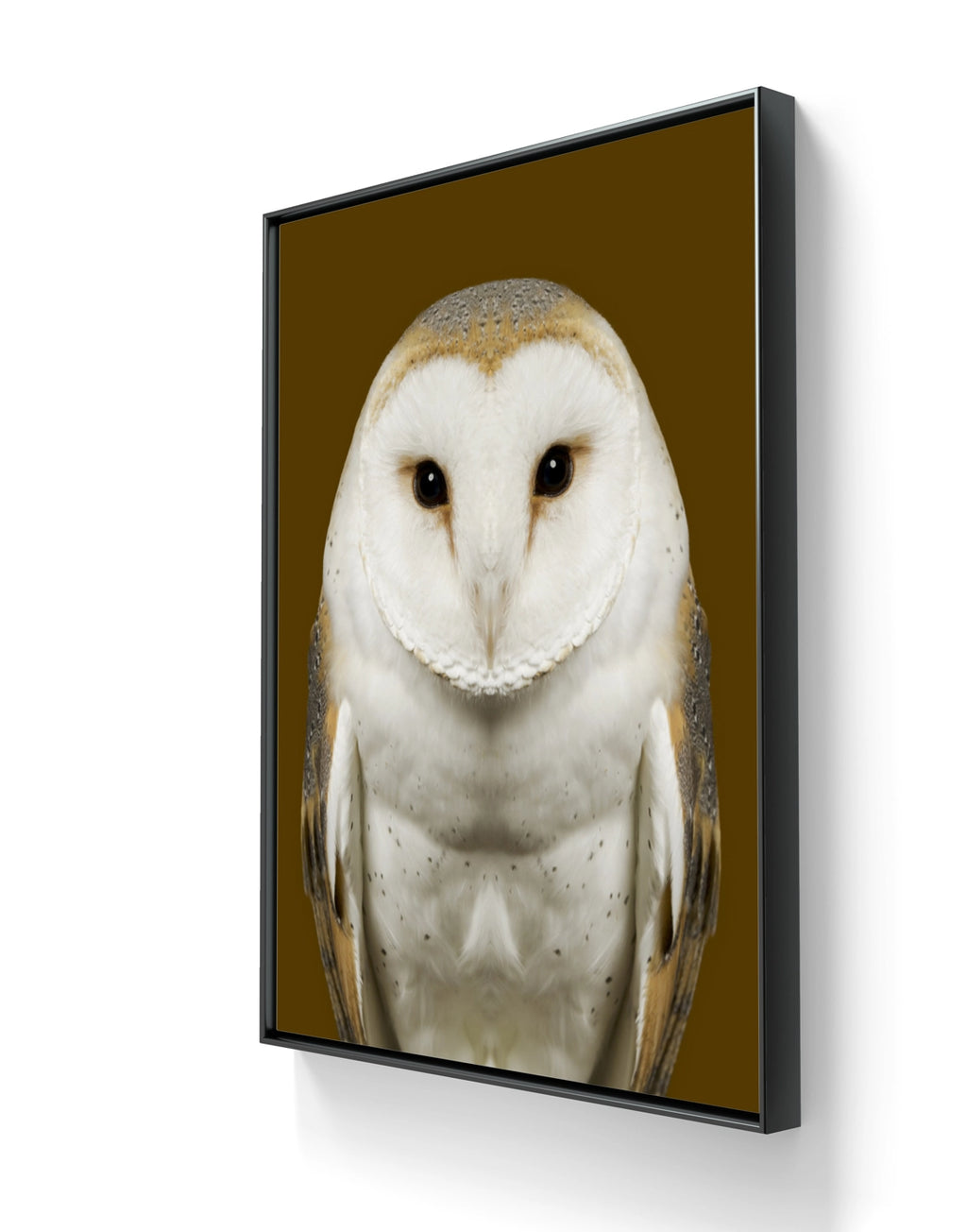 Fine art fotokunsttrykket "Tyto Alba" leveres ferdig innrammet med sort ramme av aluminium.