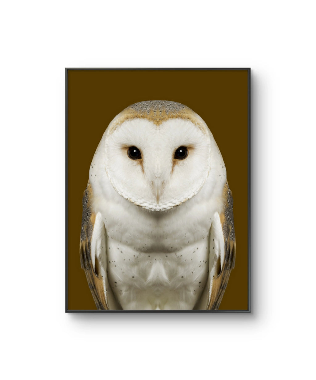 Fine art fotokunsttrykket "Tyto Alba" av den norske fotografen Dag Knudsen, signert og nummerert i et begrenset opplag.