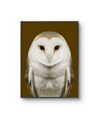 Fine art fotokunsttrykket "Tyto Alba" av den norske fotografen Dag Knudsen, signert og nummerert i et begrenset opplag.