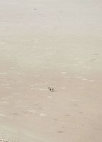 Fotografiet Vast kommer i fire størrelser