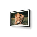 Young Gun er et fotografi av Daniel Bryn Larsen