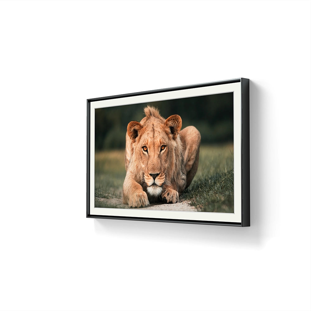 Young Gun er et fotografi av Daniel Bryn Larsen