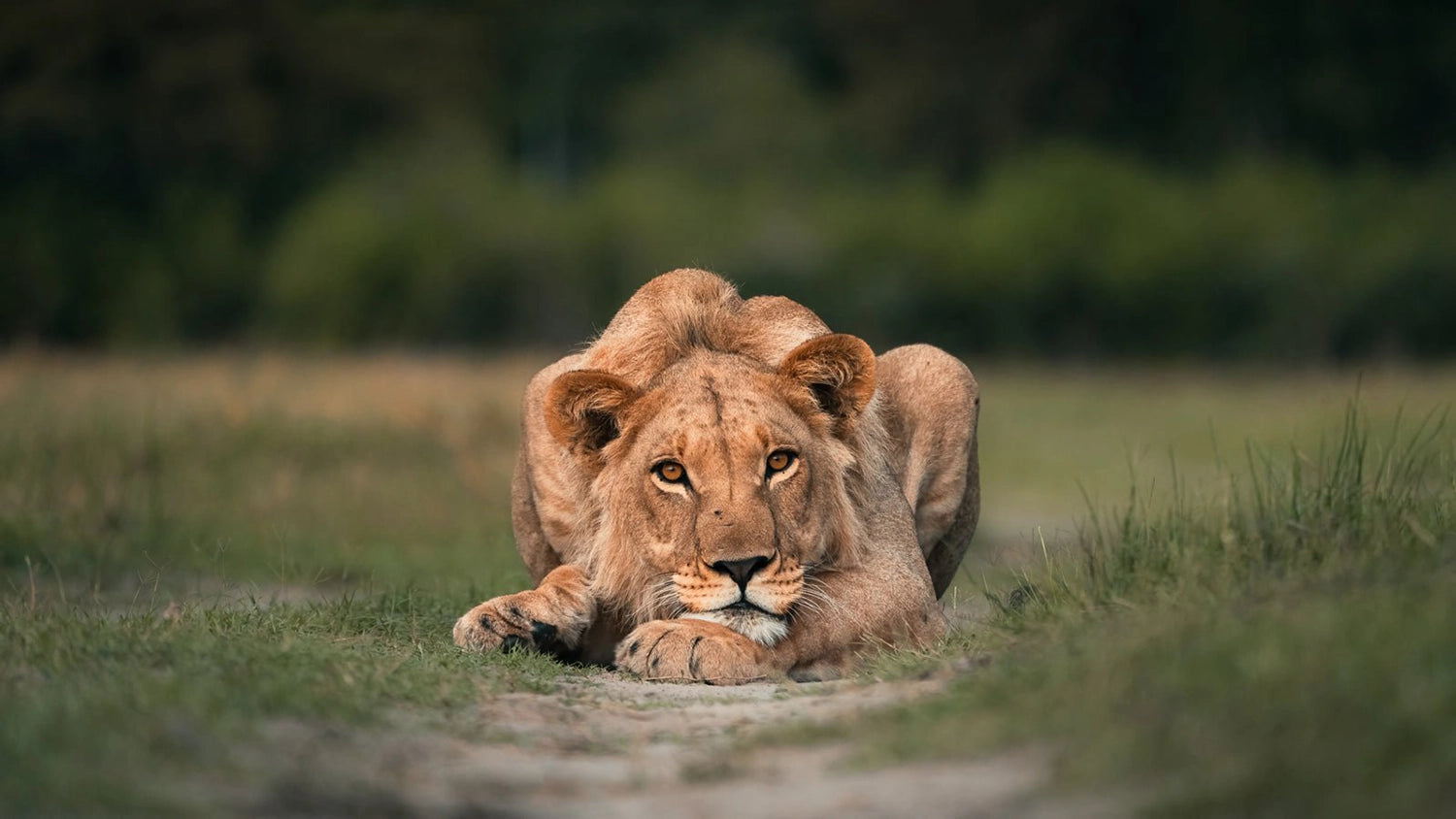 Fotografiet kommer i fire forskjellige størrelser