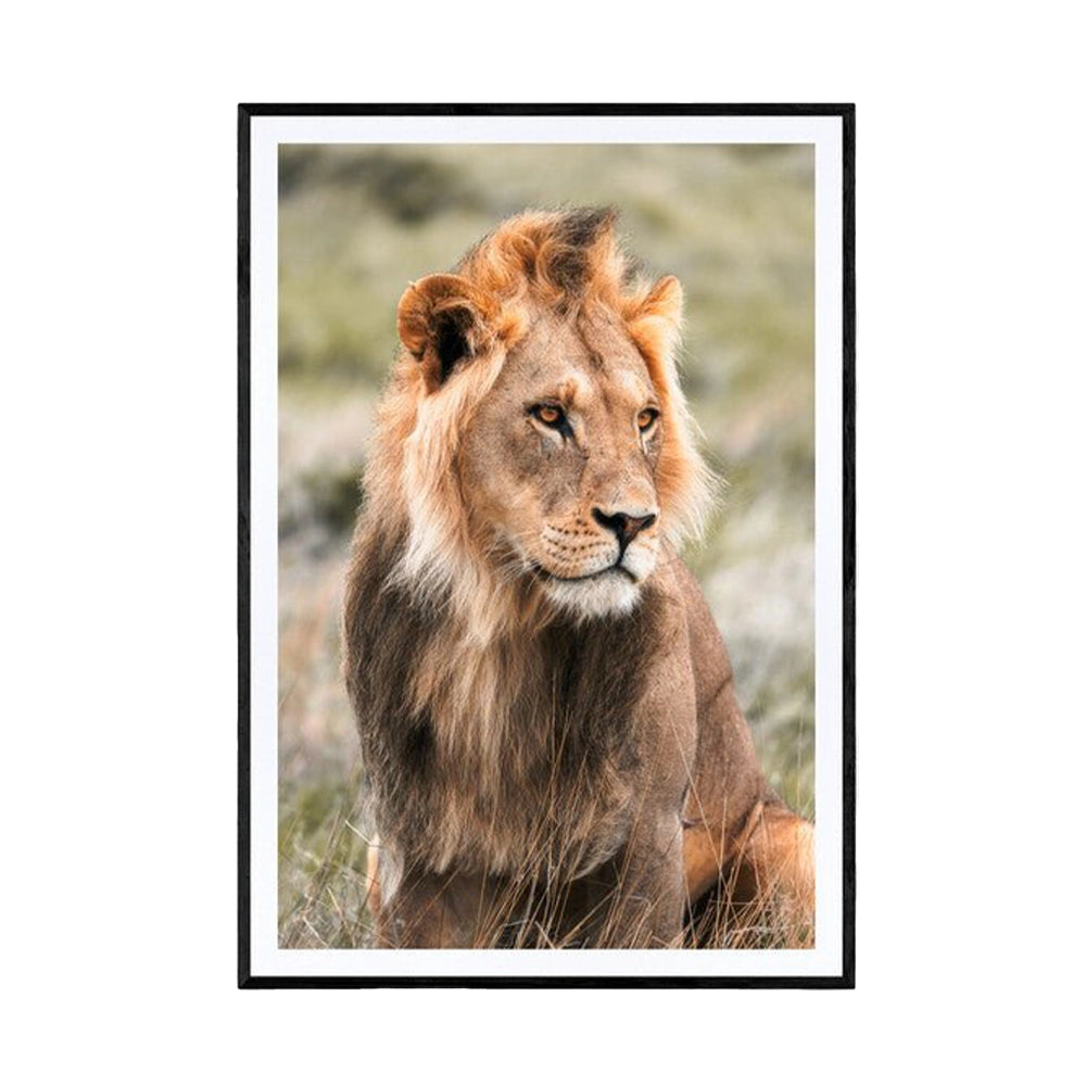 King in training kan du se på galleri m35