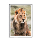 King in training kan du se på galleri m35