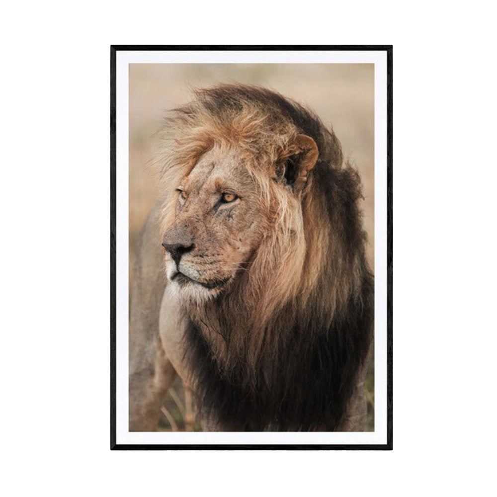 Old Warrior ferdig innrammet galleri m35