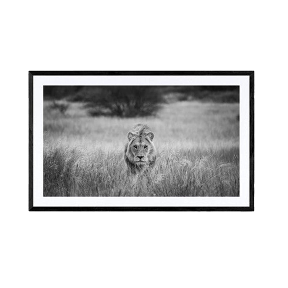 Prowler, black and white av Daniel B Larsen