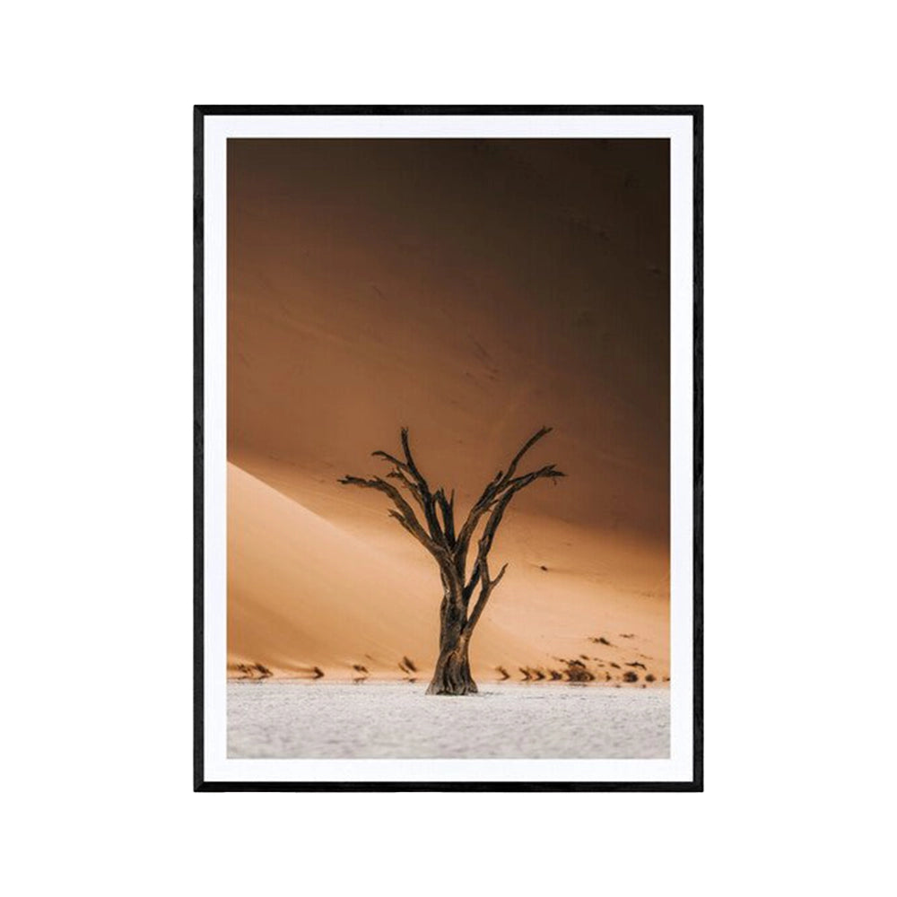 Relic of Deadvlei kan fås ferdig innrammet. Ta kontakt på e-post post@m35.no dersom du ønsker det.