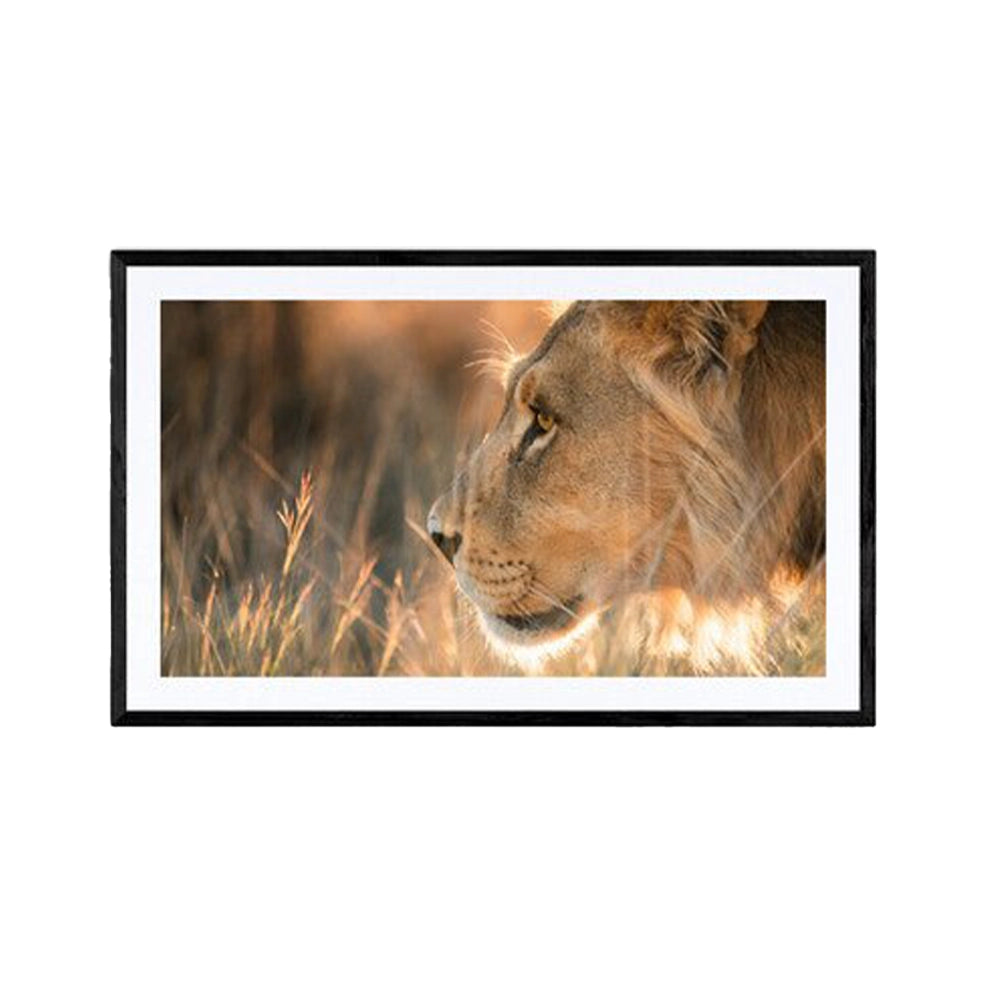 snoopin' around er et fotografi du kan se på galleri m35