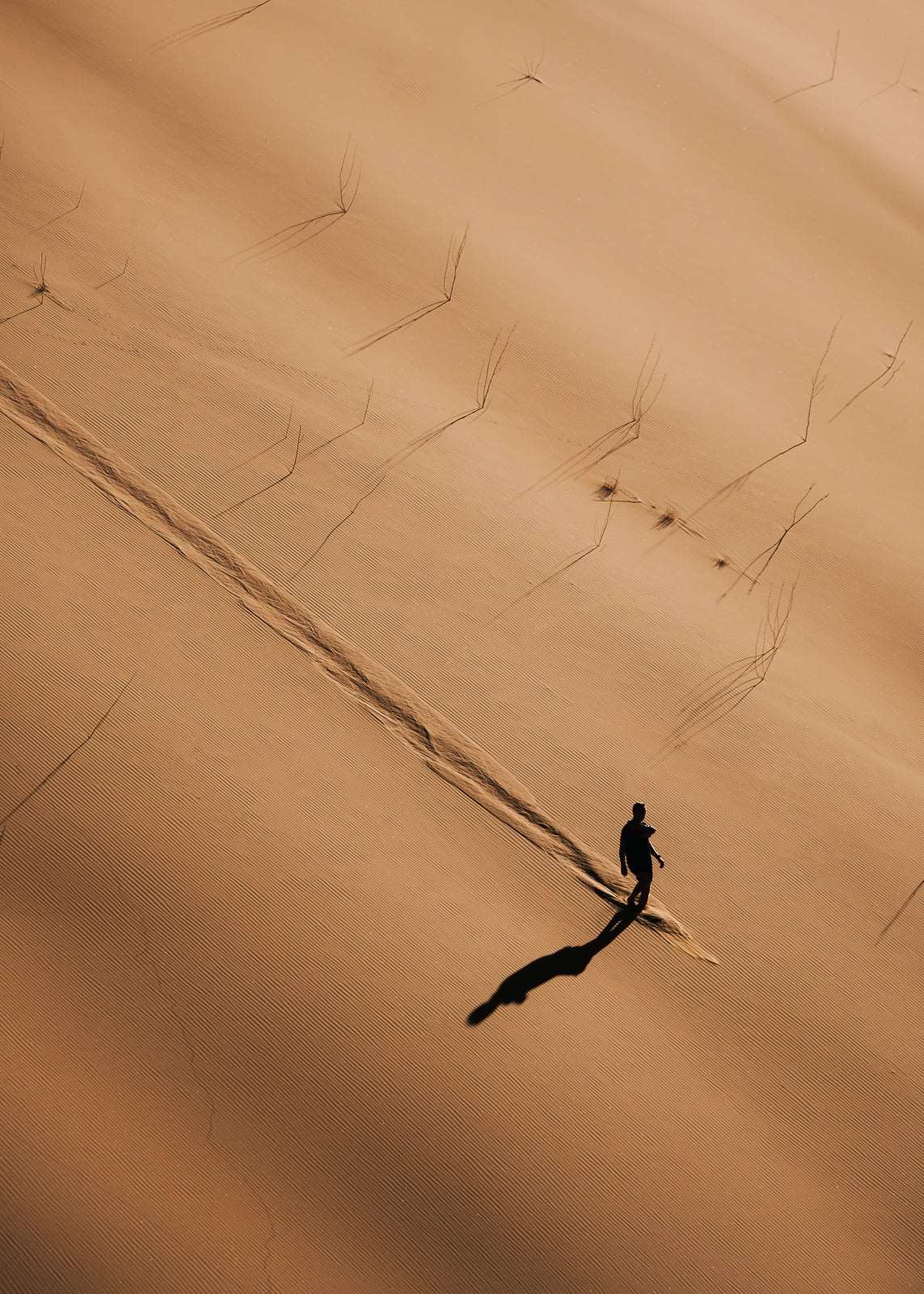 The Desert Wanderer - M35.Collective